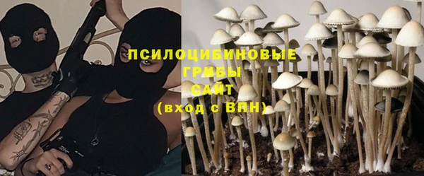 трава Алексин