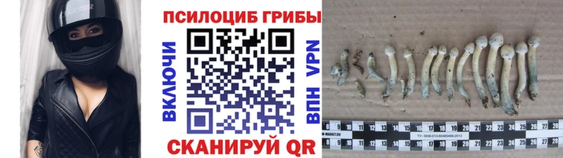 цены наркотик  Долинск  Псилоцибиновые грибы прущие грибы 
